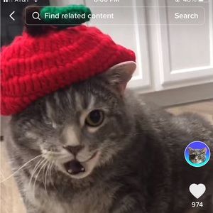 Little Guy’s apple hat